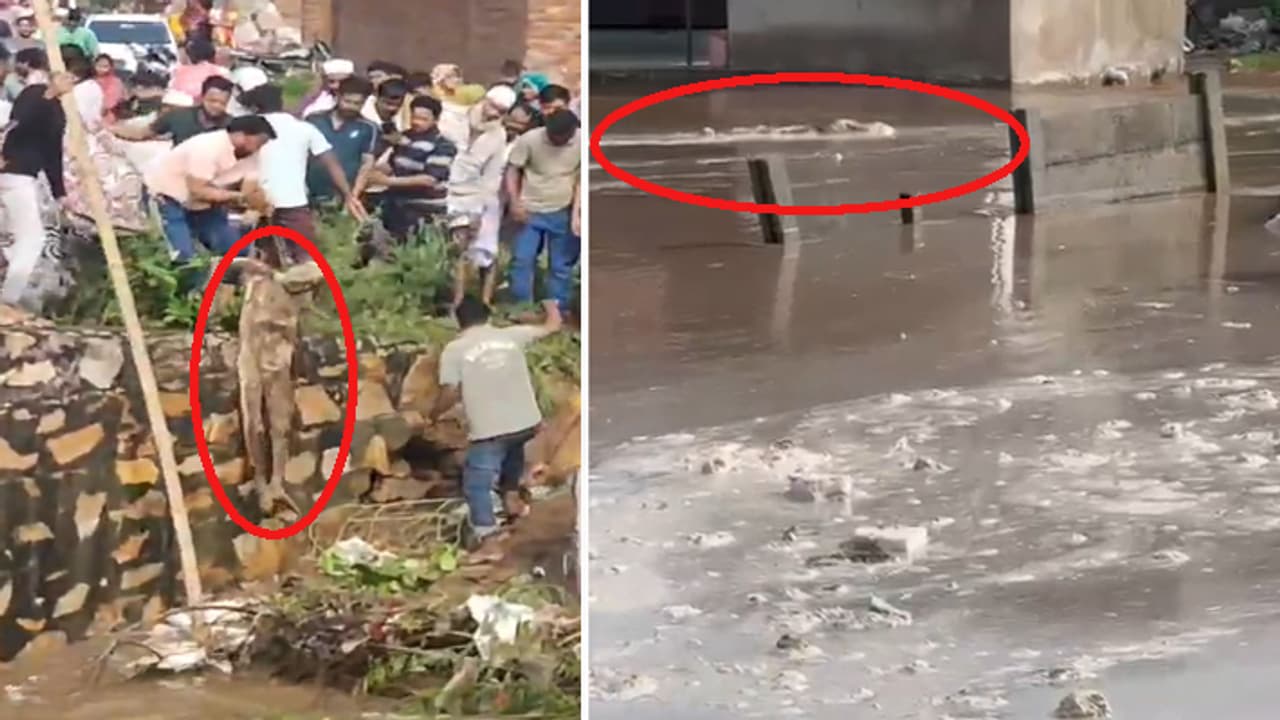 Jaipur Flood Jaipur Flood