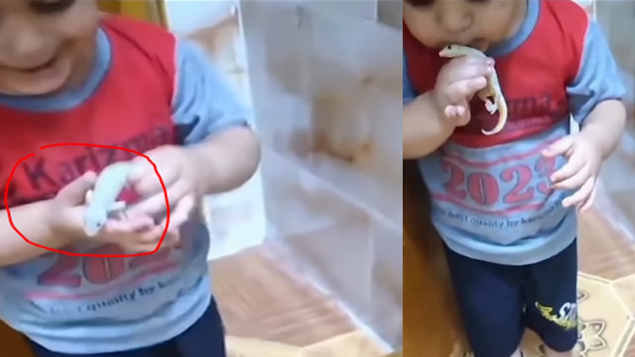 shocking video shocking video