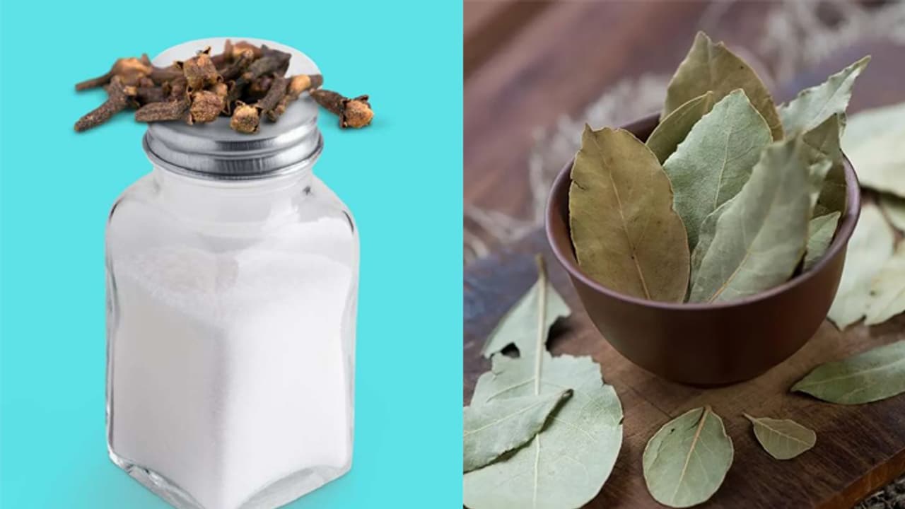 8 things you can put in Salt container according to vastu