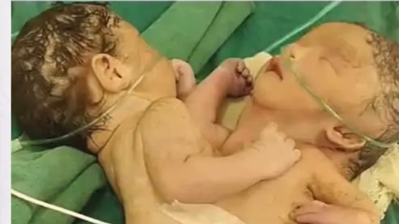 shahdol news shahdol news