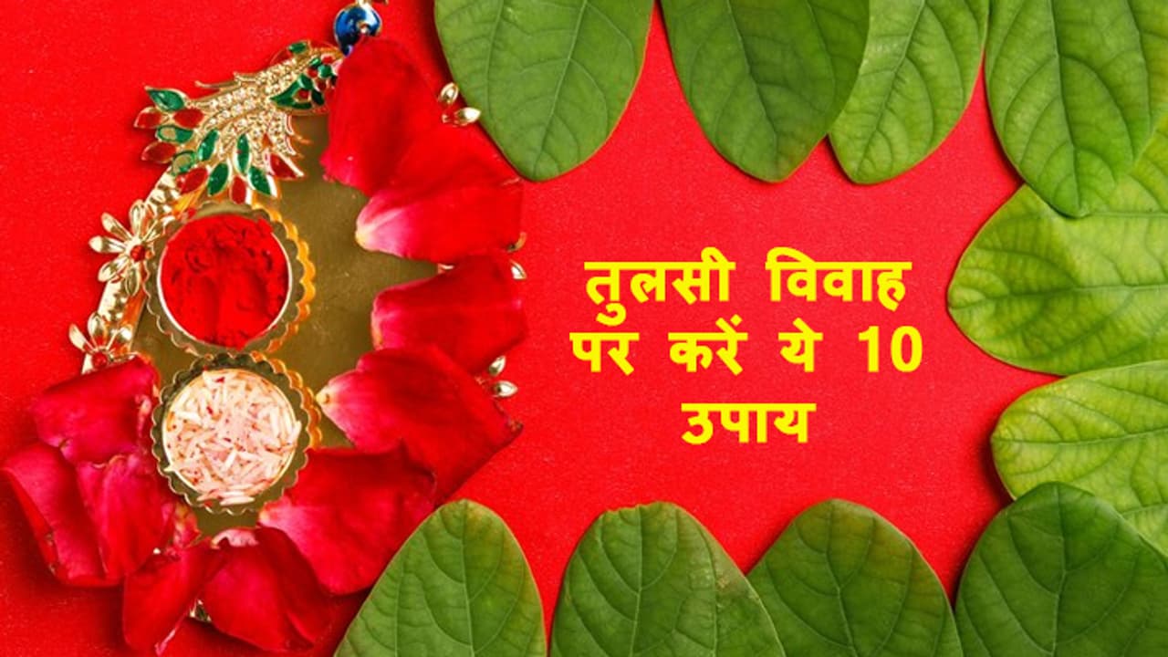 Tulsi Vivah 2024 10 remedies with tulsi plant Tulsi Vivah 2024 10 remedies with tulsi plant