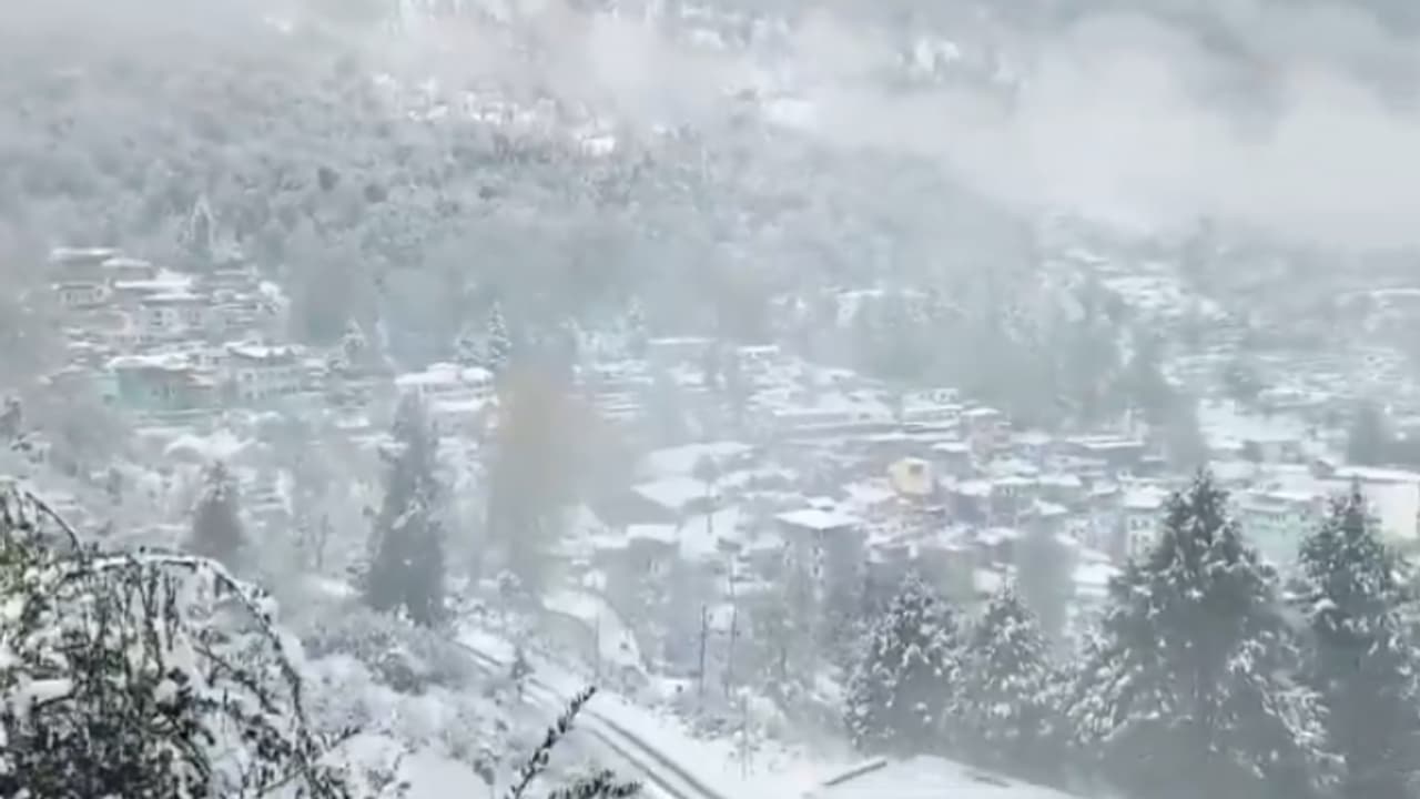 new year 2025 dehradun mussoorie traffic route plan parking shuttle service bad weather new year 2025 dehradun mussoorie traffic route plan parking shuttle service bad weather