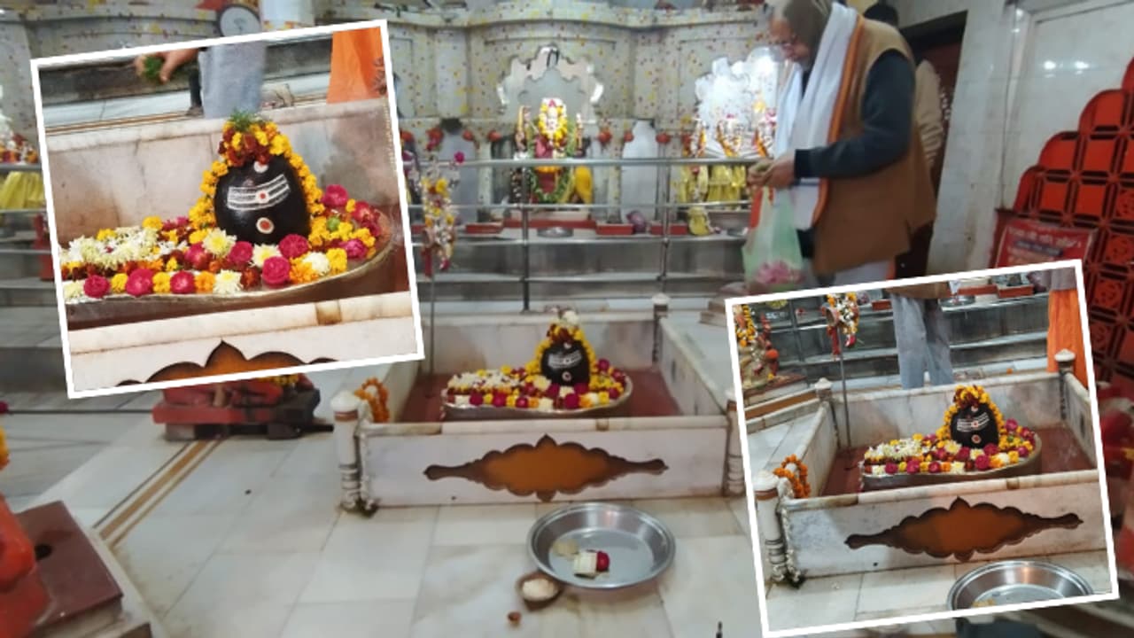 UP prayagraj loknath mahadev temple history shivaratri mahakumbh 2025 UP prayagraj loknath mahadev temple history shivaratri mahakumbh 2025