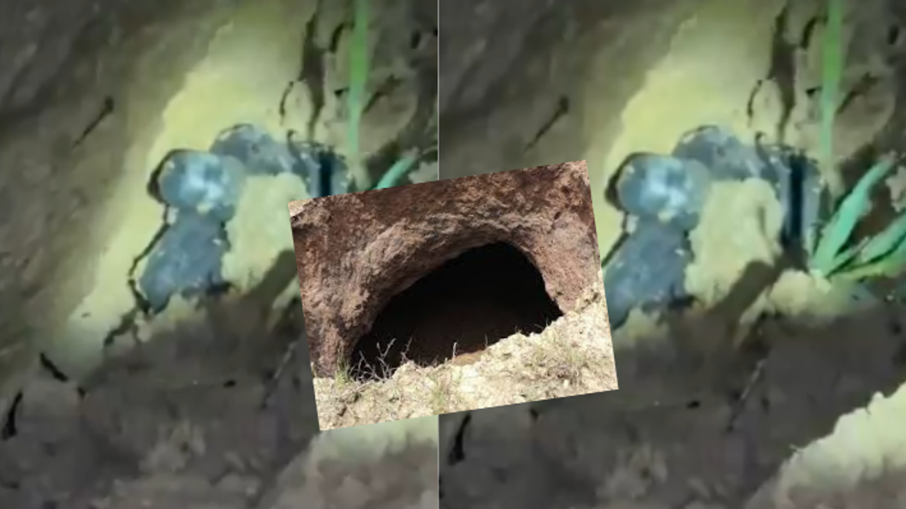 UP Ghaziabad shivling found in pit mubarikpur dasna masuri thana lightning miracle UP Ghaziabad shivling found in pit mubarikpur dasna masuri thana lightning miracle