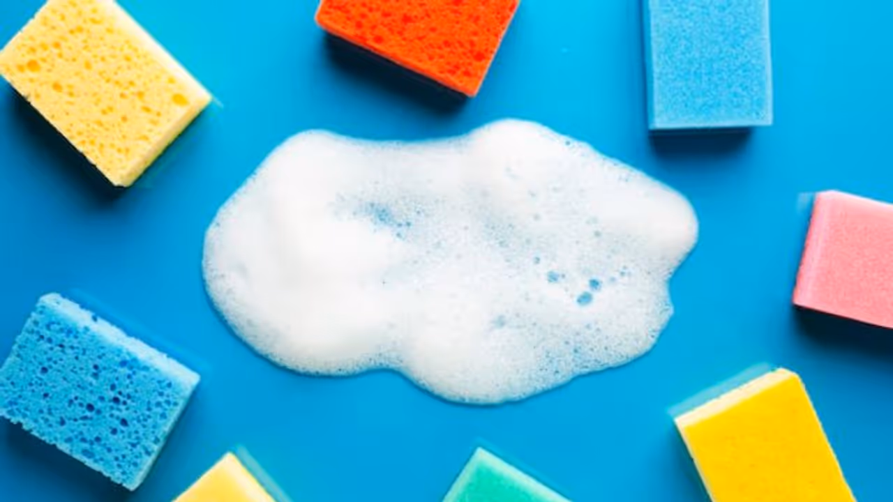 How to remove bacteria from kitchen sponge