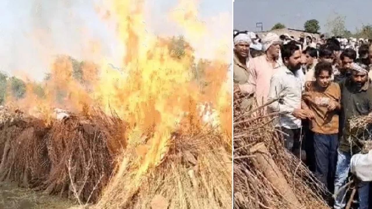 Madhya Pradesh news Madhya Pradesh news