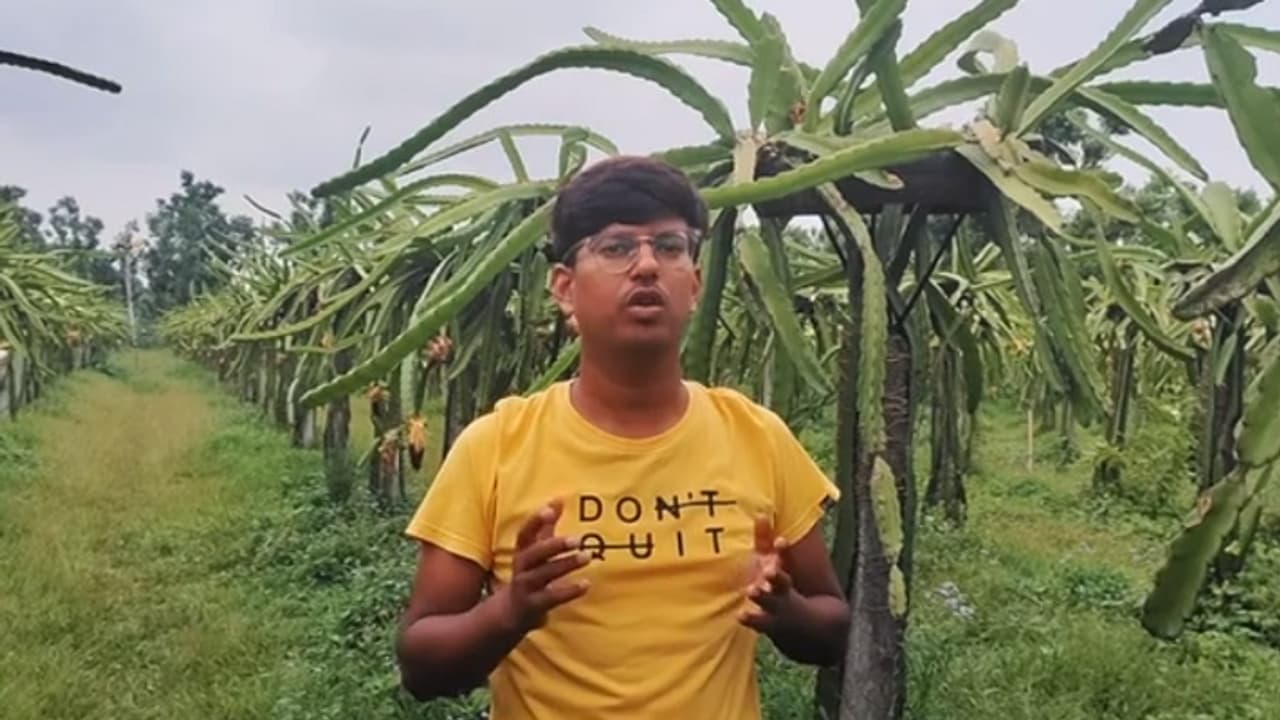 bihar news bihar news