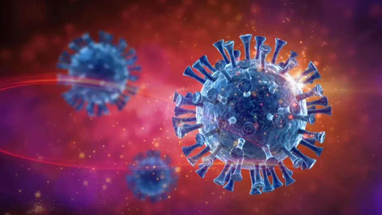 Covid Variant NB.1.8.1 Covid Variant NB.1.8.1