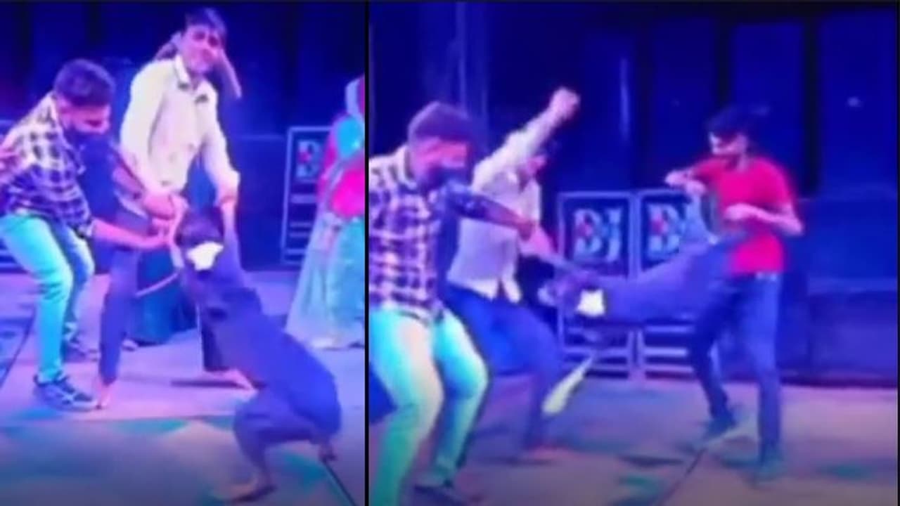 बेजुबान के साथ बर्बरता