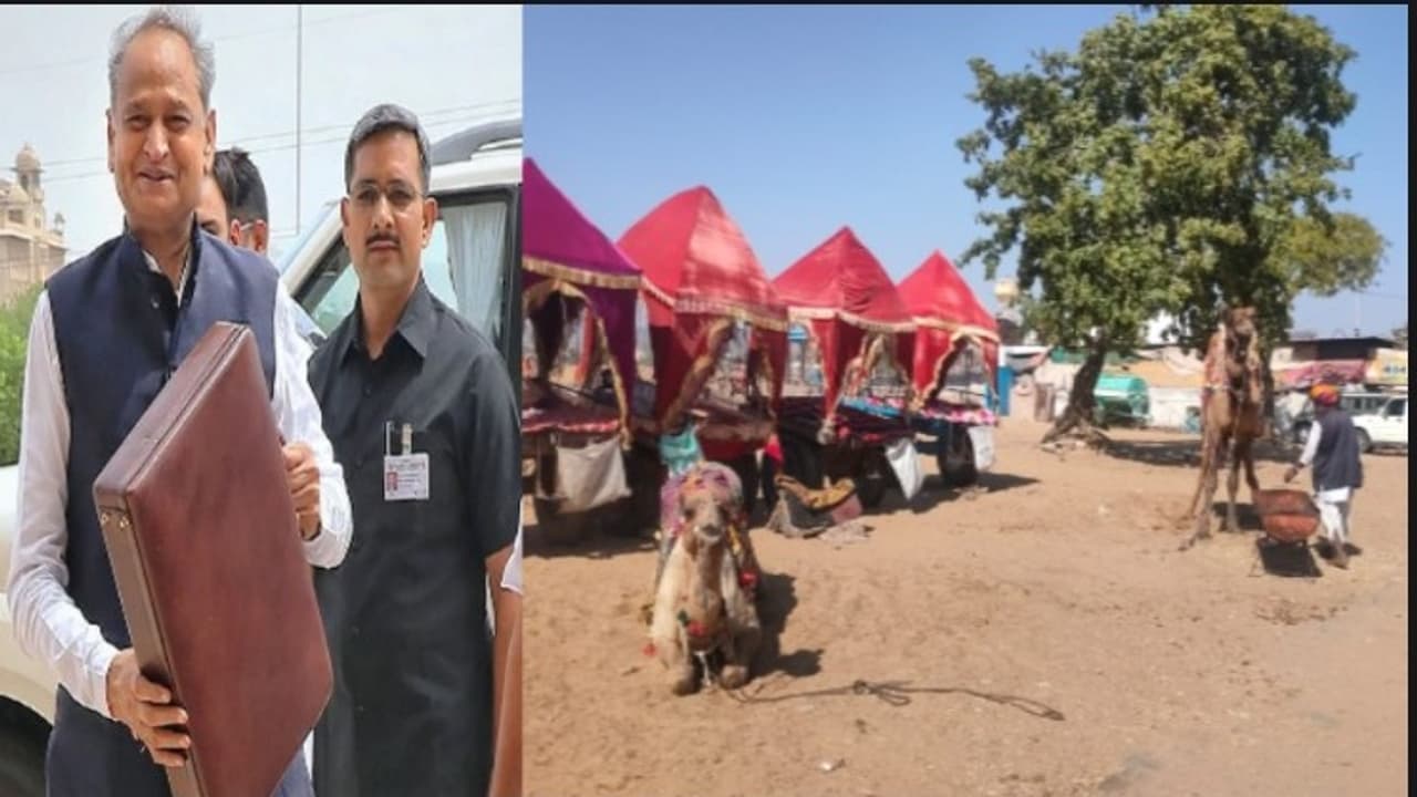 मेला मेला