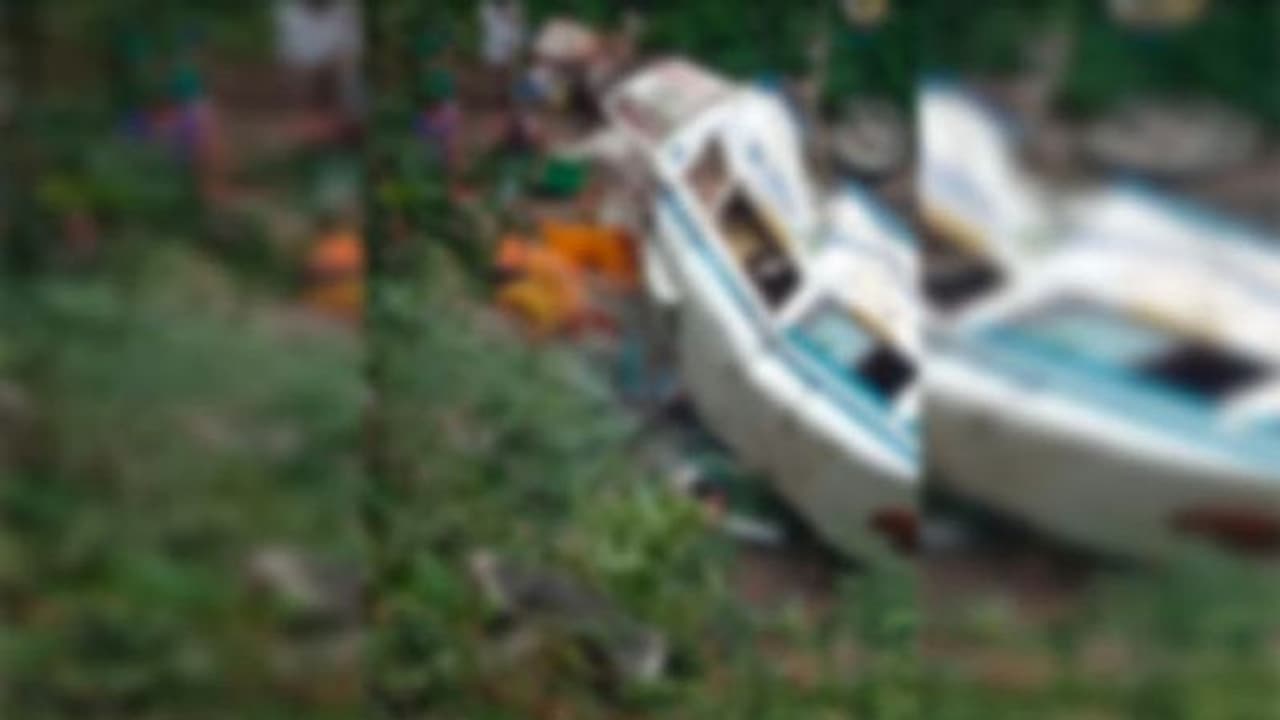 bus falls into gorge in AP bus falls into gorge in AP