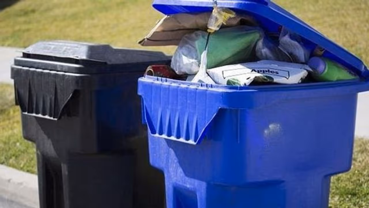 Mother threw dustbin to 15 day old daughter