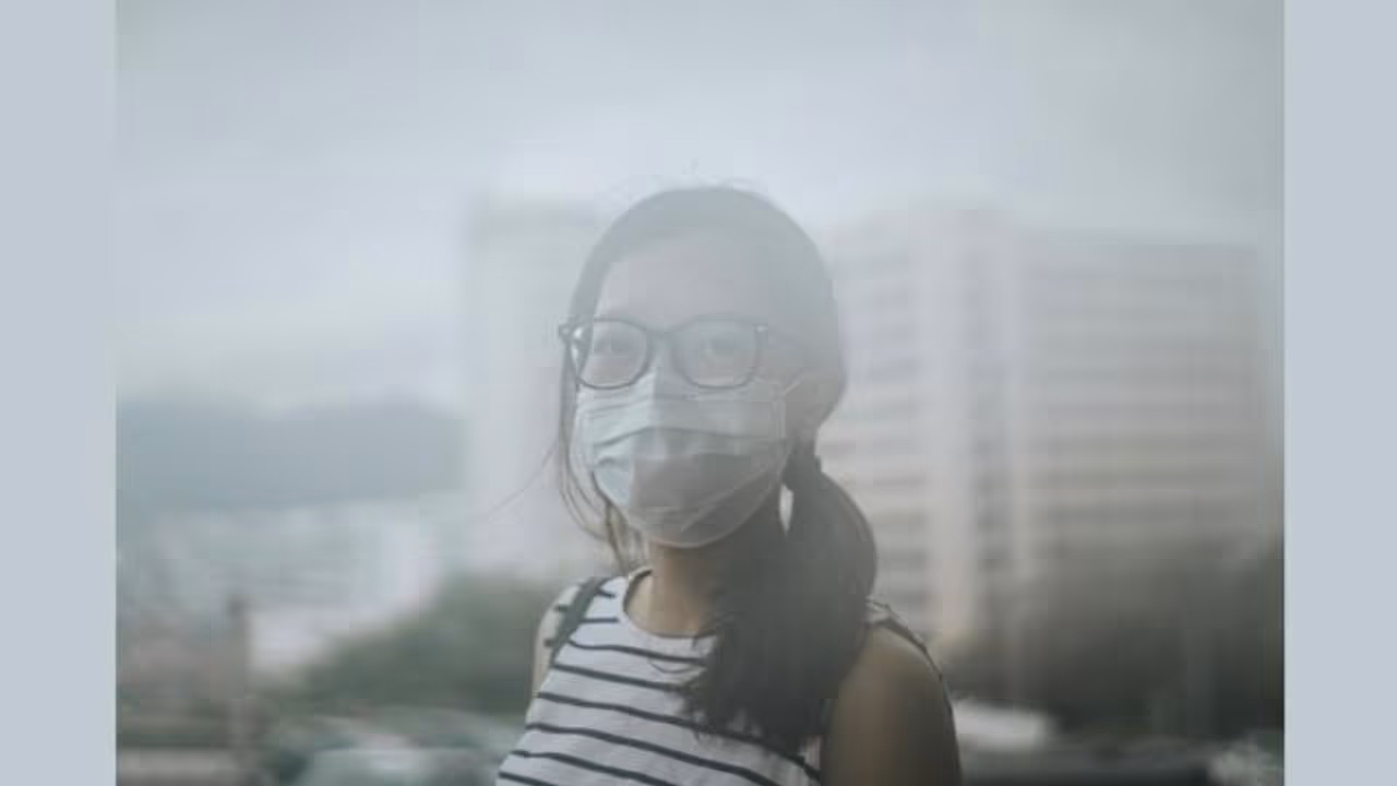 Pollution Pollution