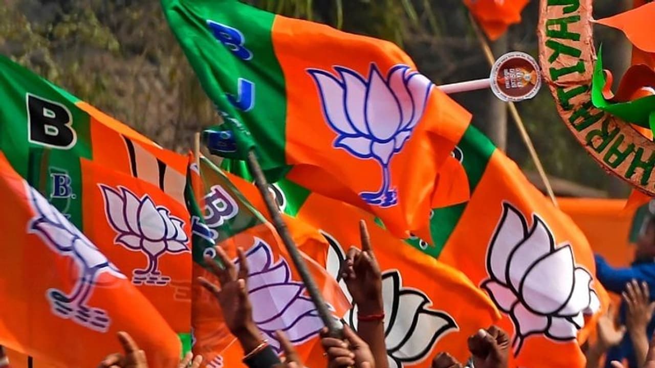 bjp flag