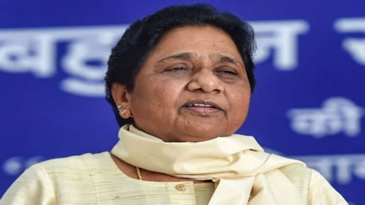 mayawati mayawati
