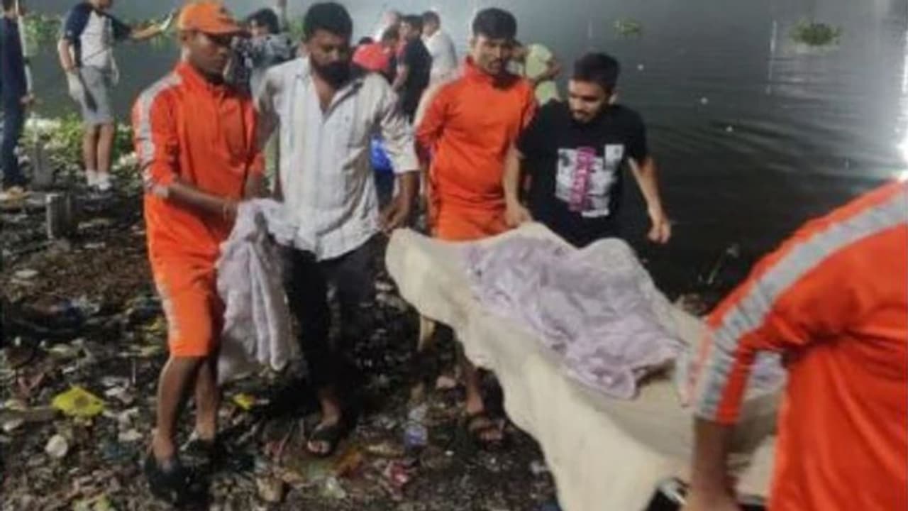 Morbi Bridge Morbi Bridge