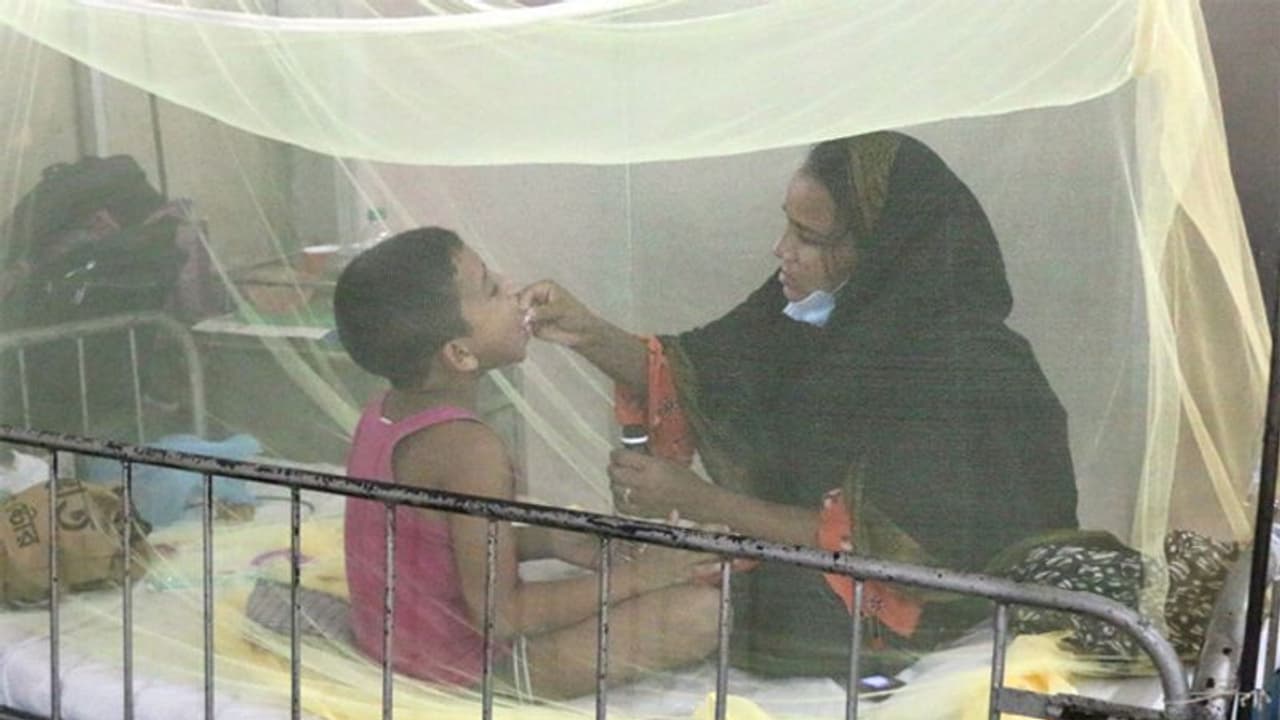 hat food to give kids in dengue