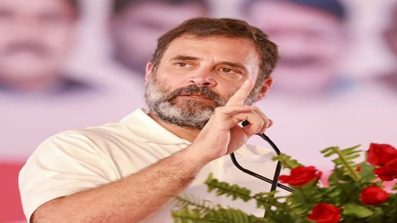 rahul gandhi rahul gandhi