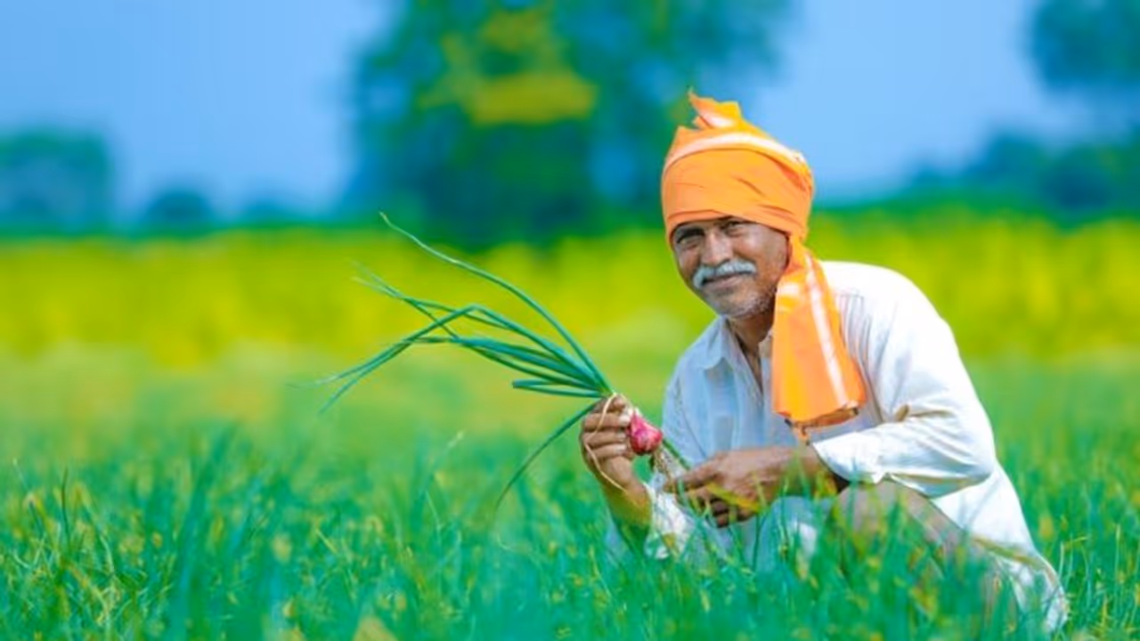 Crop Crop