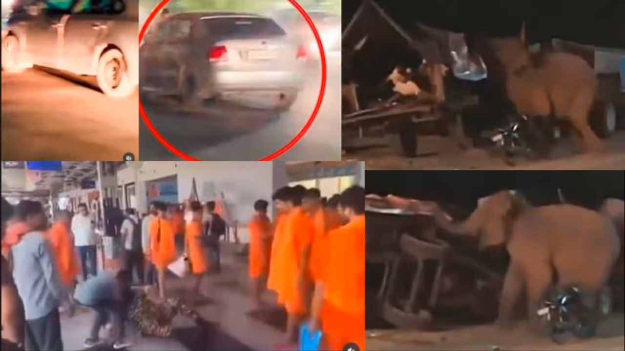 Kanwar Yatra, CRPF Jawan assulted, Home Guardm, Wild Elephant,