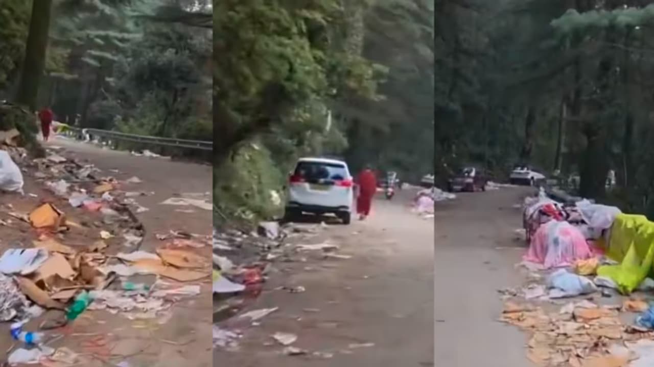 Viral Video | McLeod Ganj’s Scenic Mountain Trail Turns Into Garbage Dump, Internet Demands Fines for Tourists Viral Video | McLeod Ganj’s Scenic Mountain Trail Turns Into Garbage Dump, Internet Demands Fines for Tourists