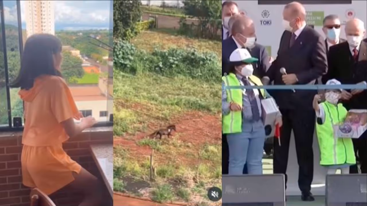 Turkish President Erdogan, viral video