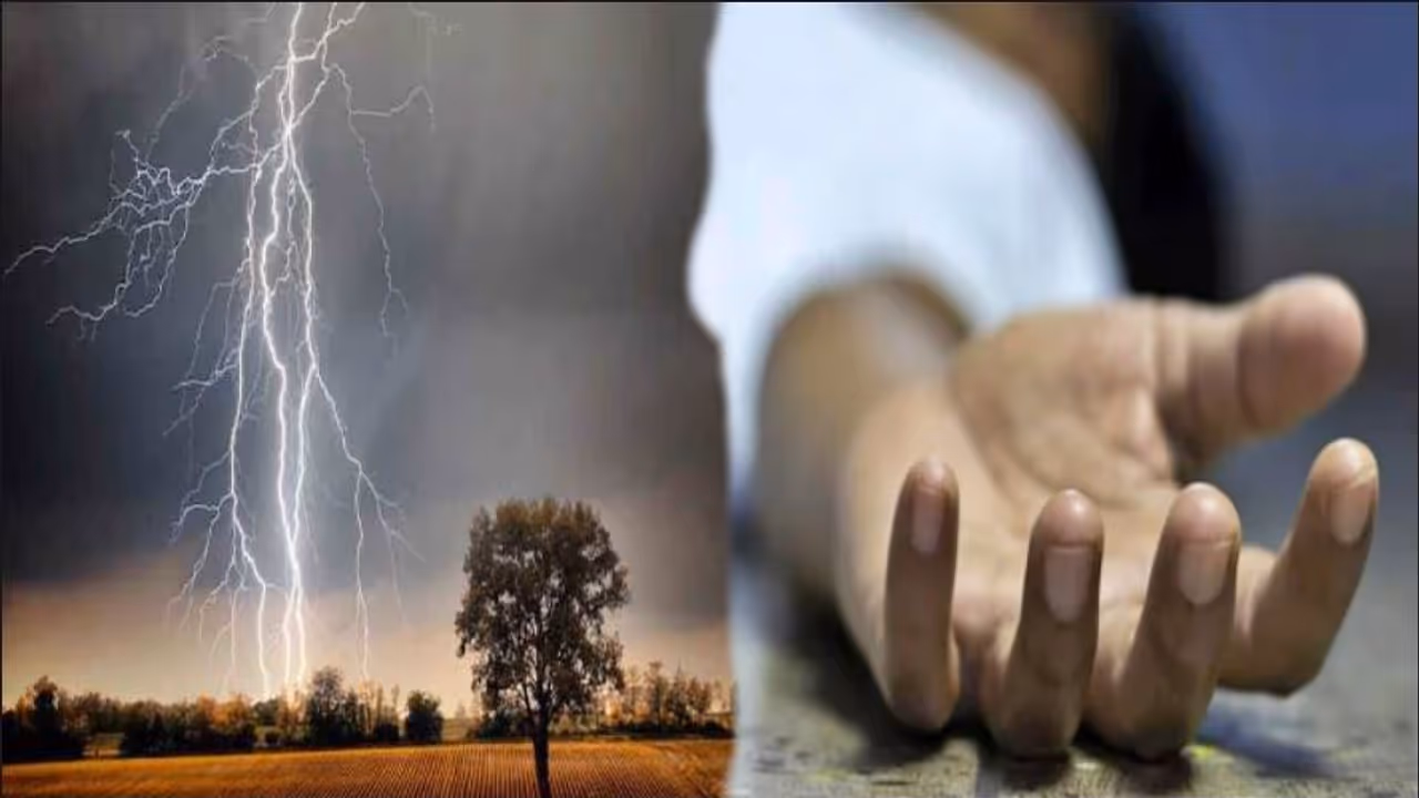 accident in rajasthan