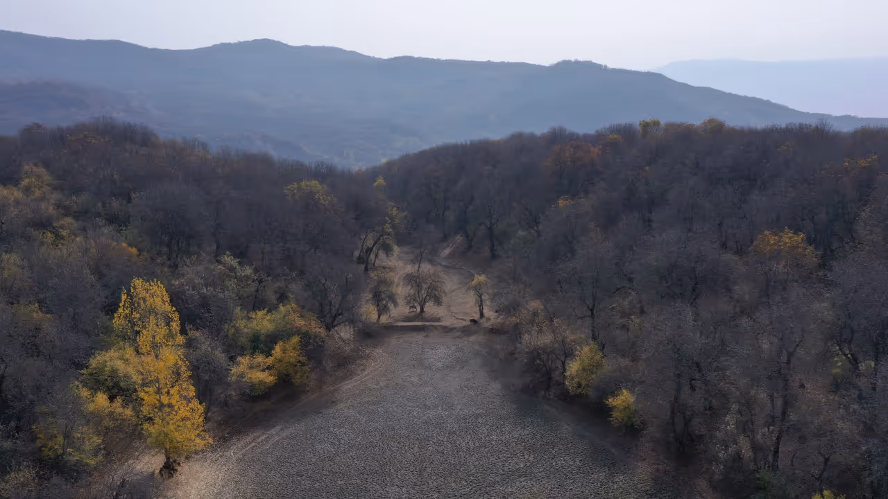 World's Fossil Fuel Emissions To Hit New Record In 2025: Study