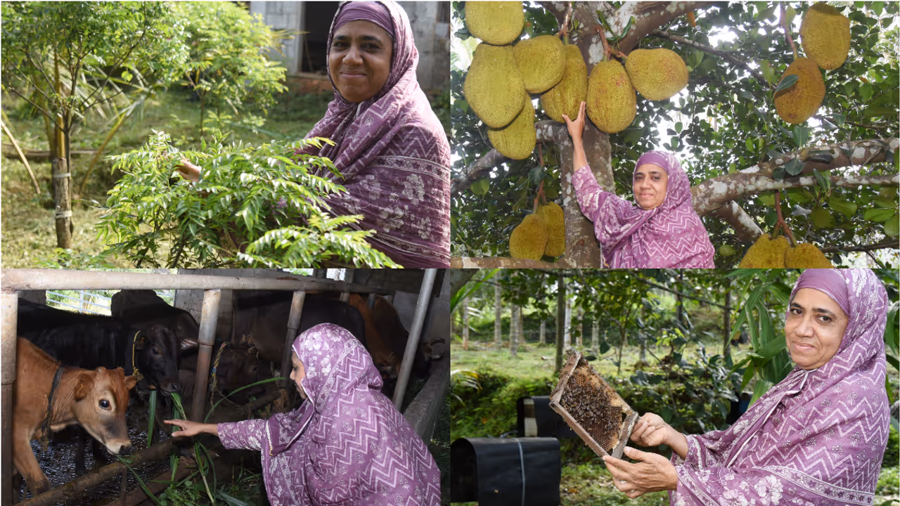 Khadeejumma Khadeejumma