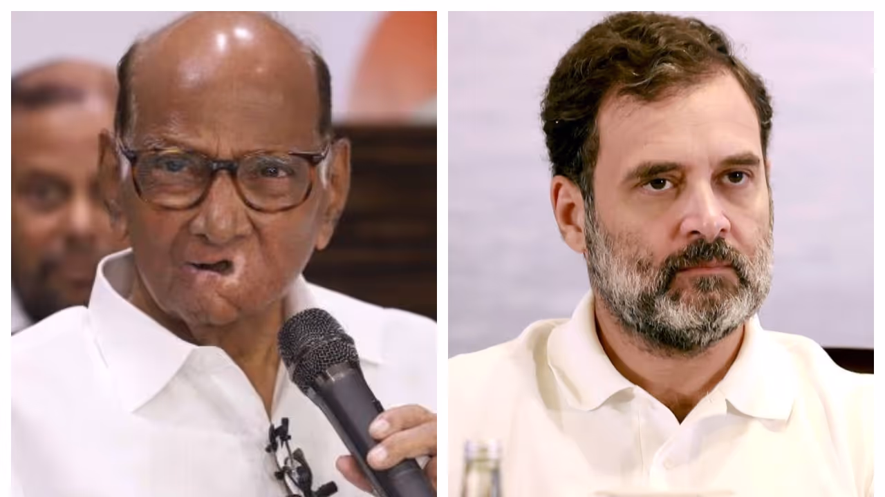 sarad pawar rahul gandhi 