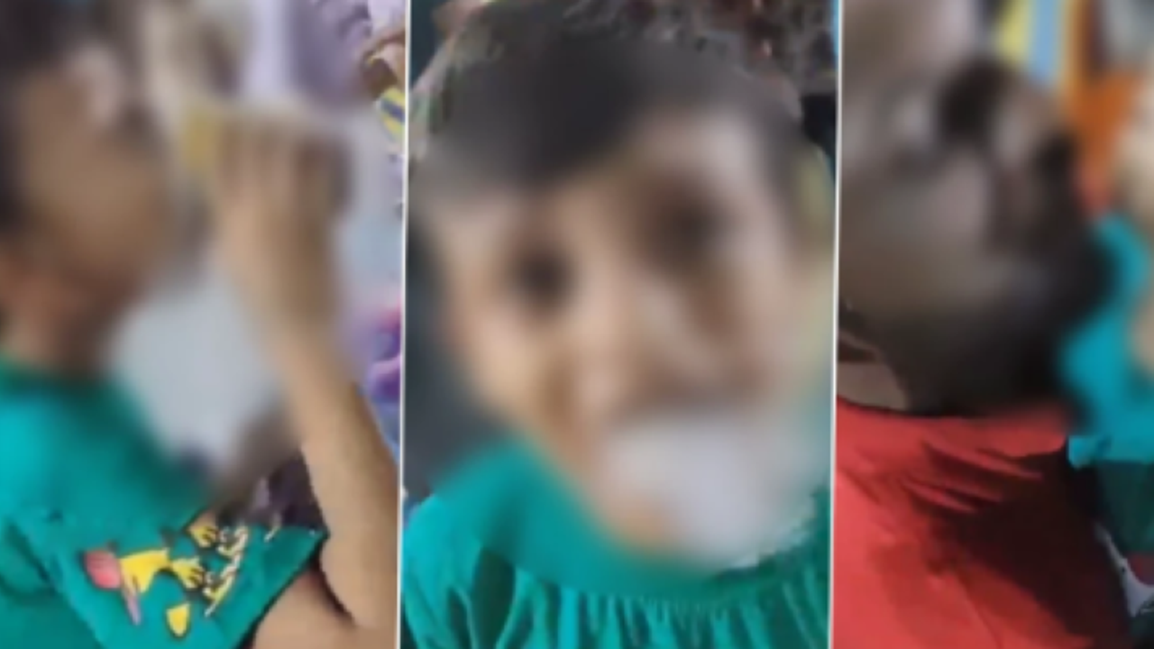 Smokey Biscuit Smokey Biscuit