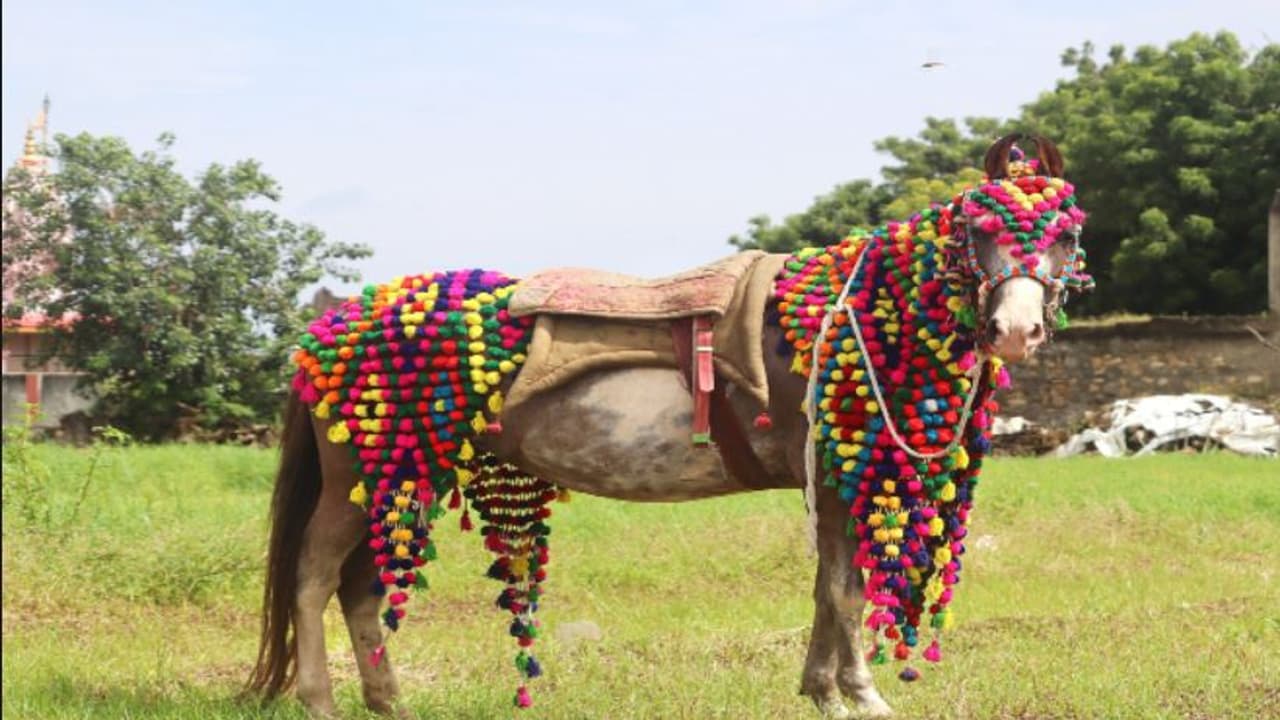 शादी नहीं हो रही