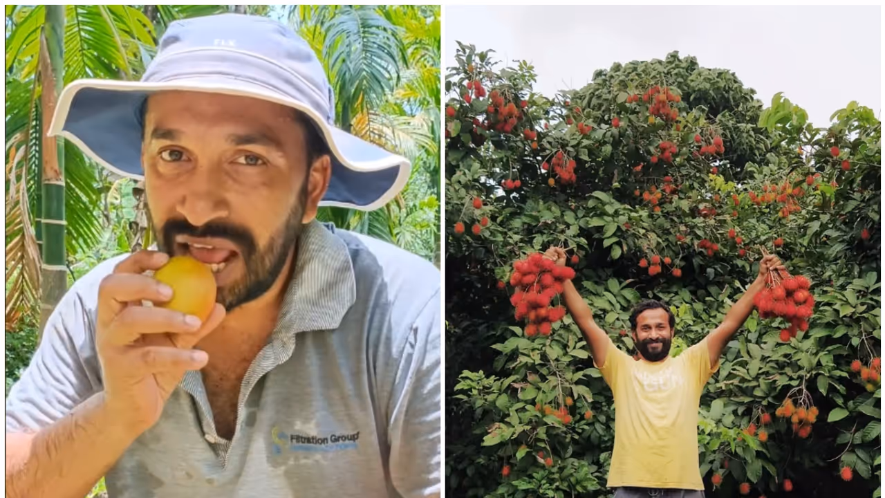 Bengaluru IT professional Chethan Shetty turns farmer Bengaluru IT professional Chethan Shetty turns farmer