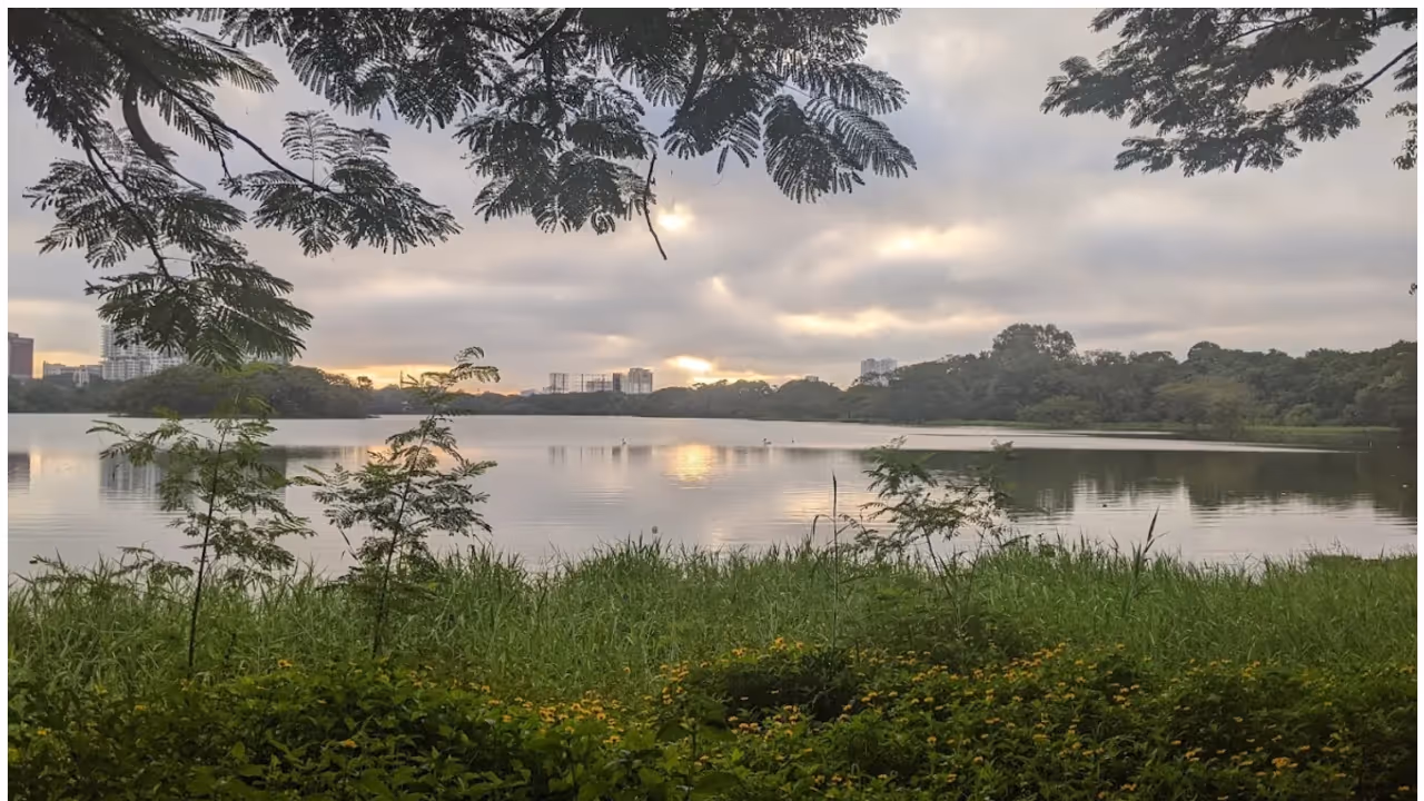 Bengaluru's proposed road network raises concerns over lakes and flooding Bengaluru's proposed road network raises concerns over lakes and flooding