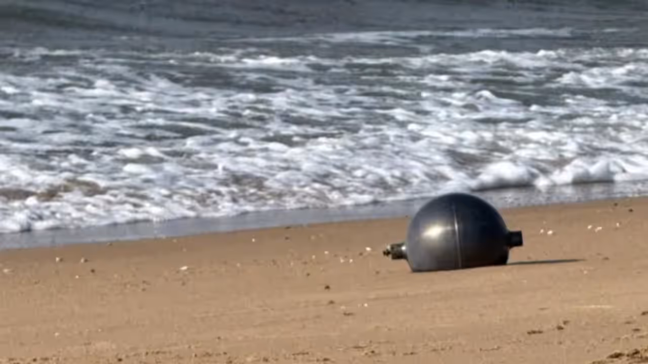 mysterious large balls that washed up on a beach in Australia mysterious large balls that washed up on a beach in Australia