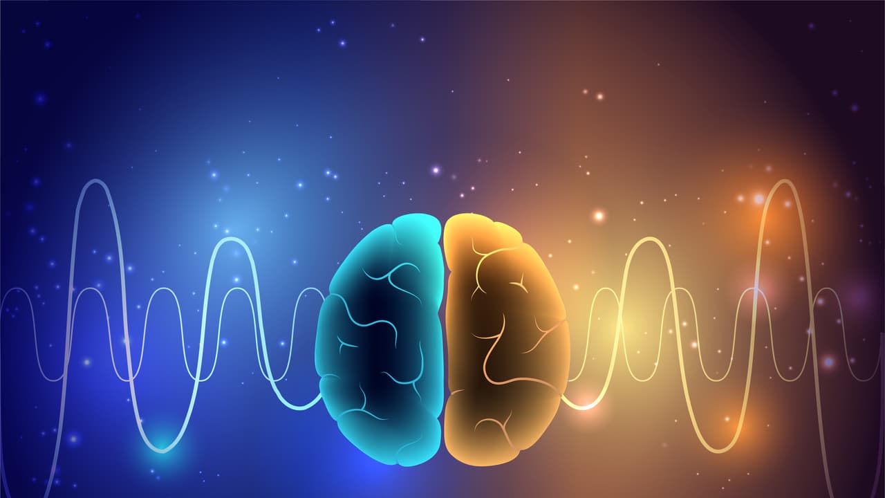 Brain Waves