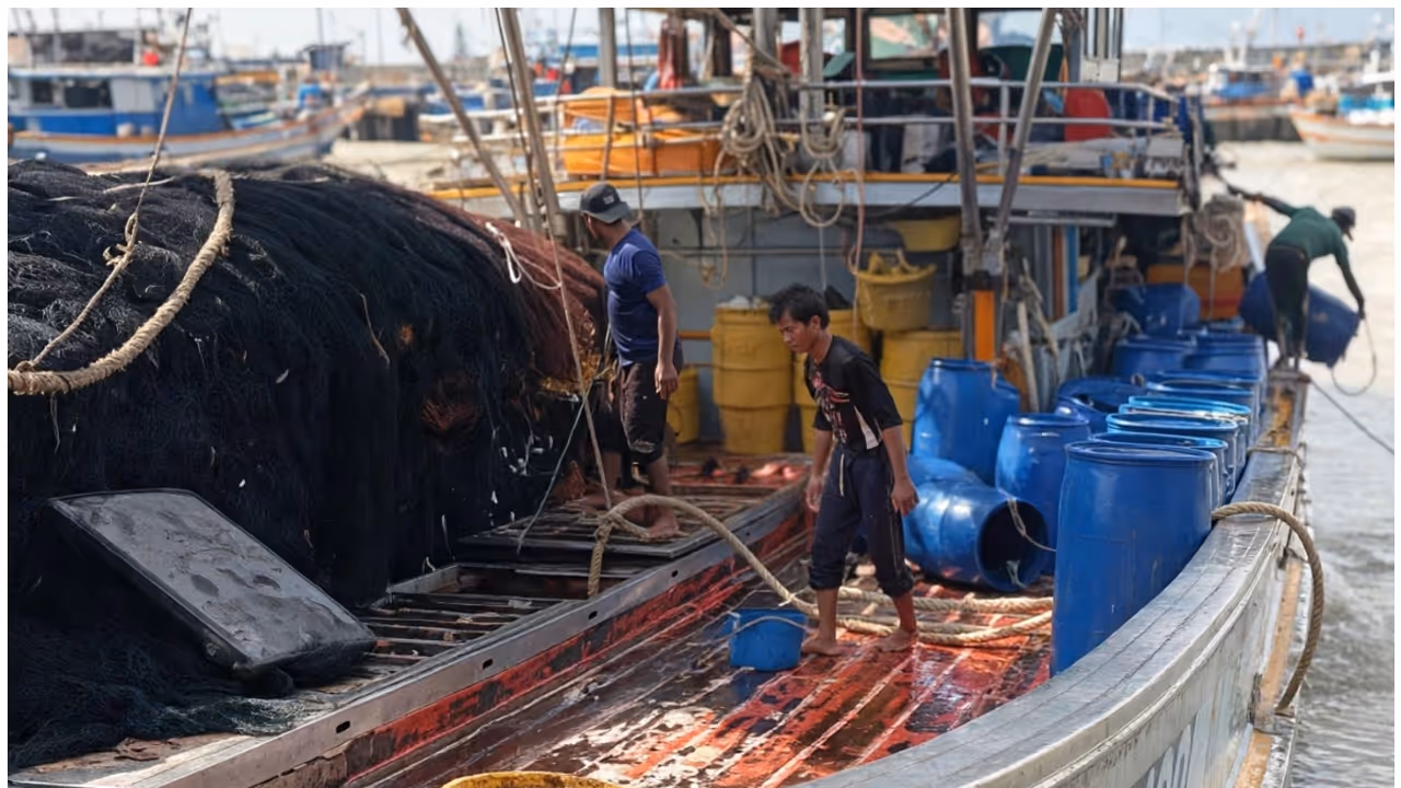 Tadadi Fishing Harbour Tragedy Tadadi Fishing Harbour Tragedy