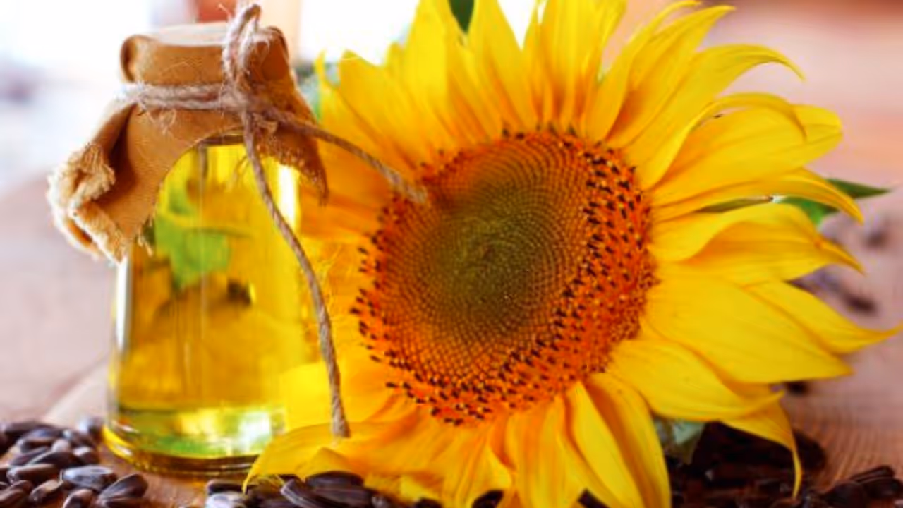 Sunflower oil Sunflower oil