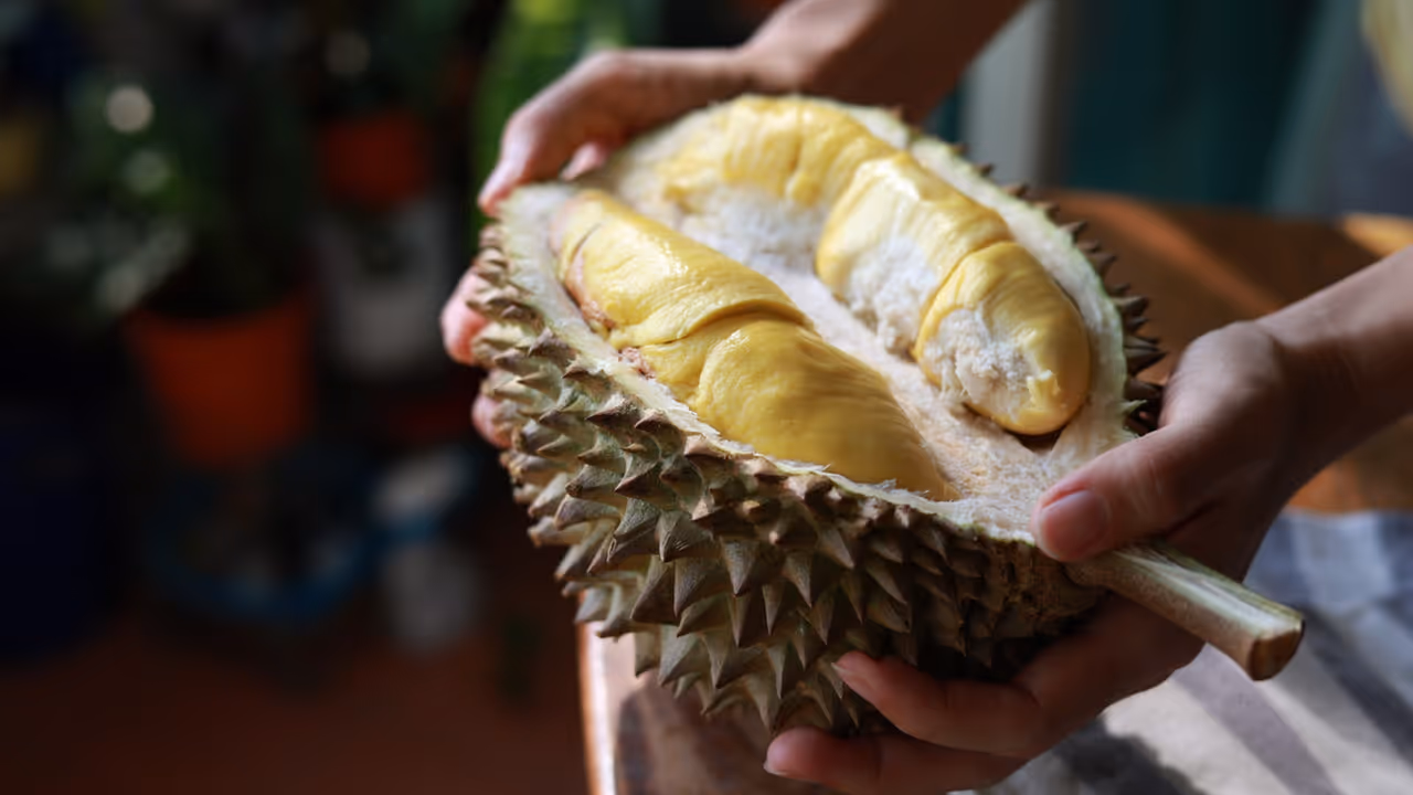 durian fruit gas leak scare