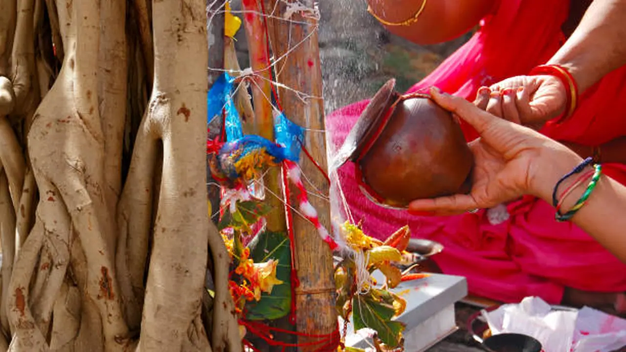 tree puja