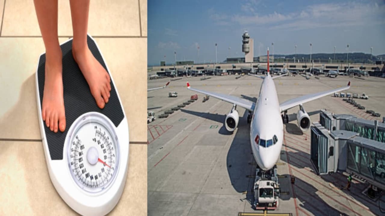 new zealand air new zealand air