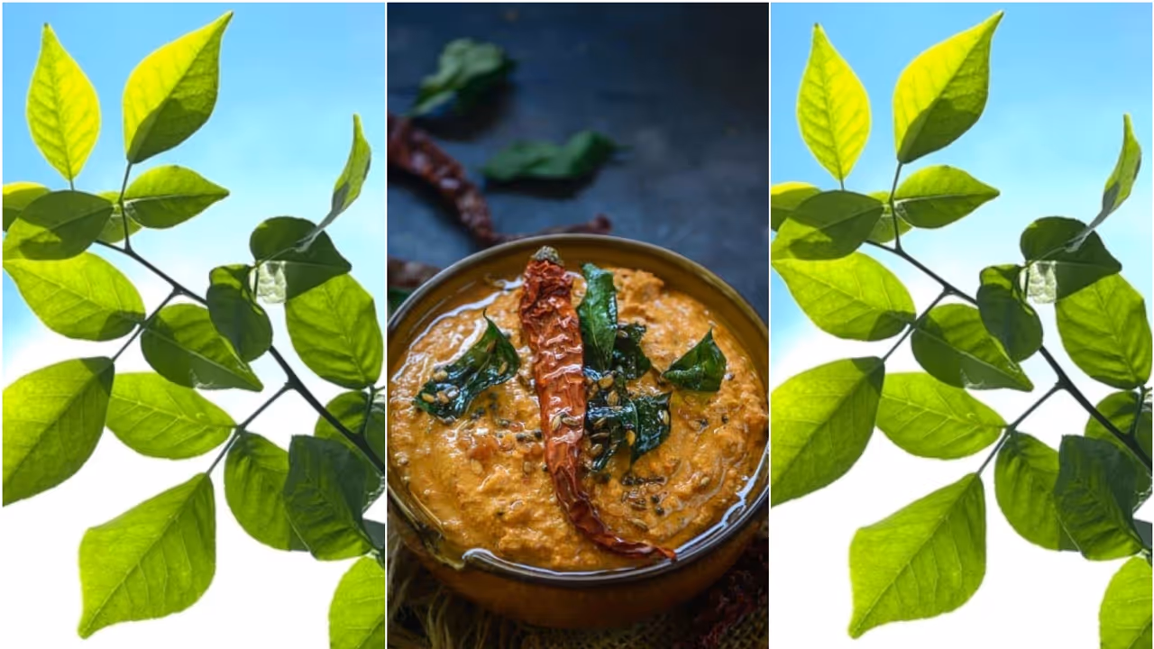 Bilva leaves Gatti chutney Bilva leaves Gatti chutney