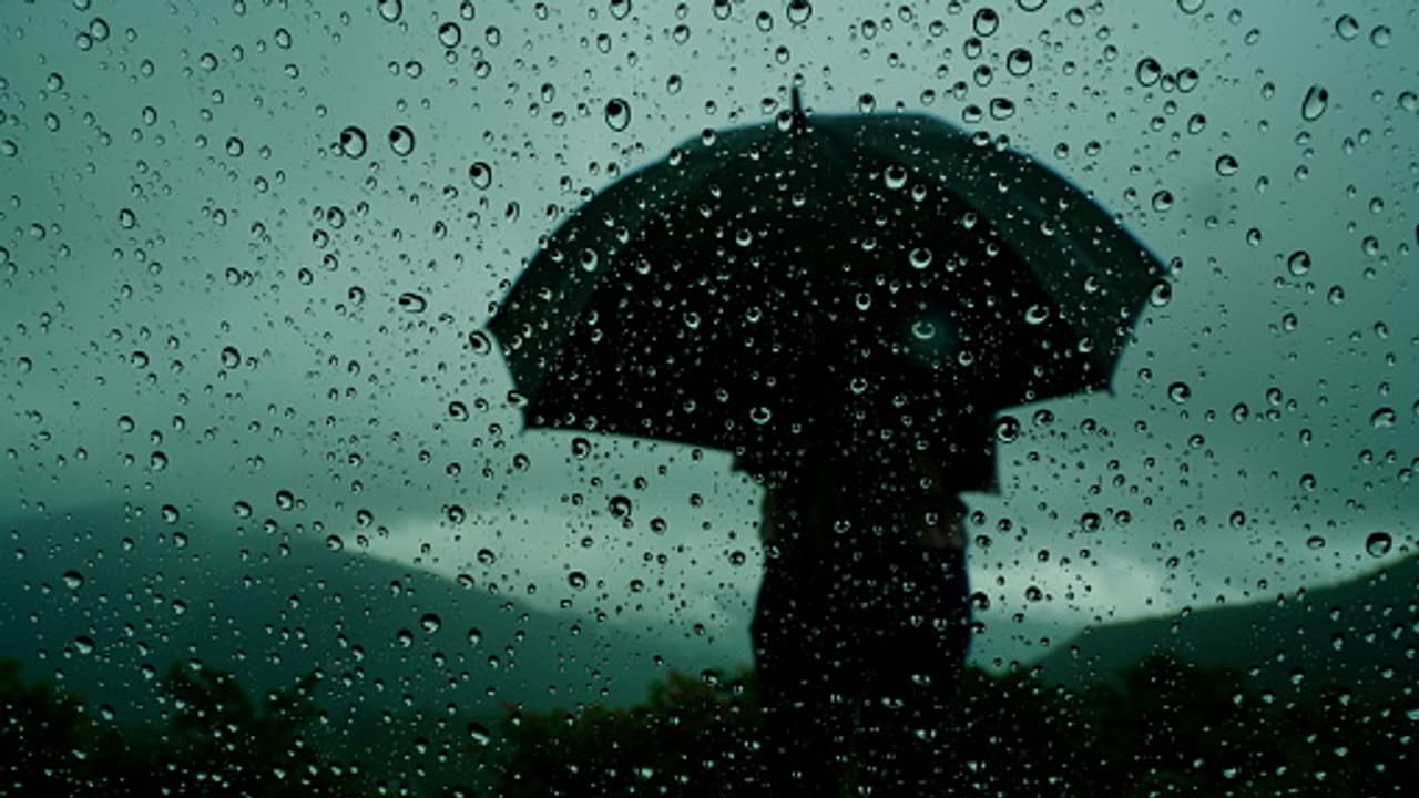 weather forecast The rain started in Kolkata from the afternoon of Navami weather forecast The rain started in Kolkata from the afternoon of Navami