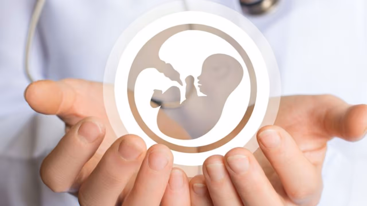 world ivf day world ivf day