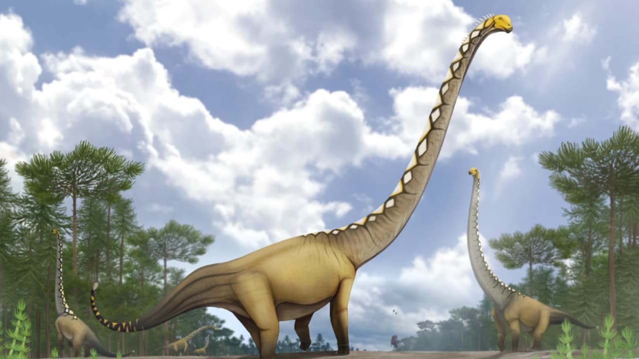 Uragasaurus kalasinensis Uragasaurus kalasinensis