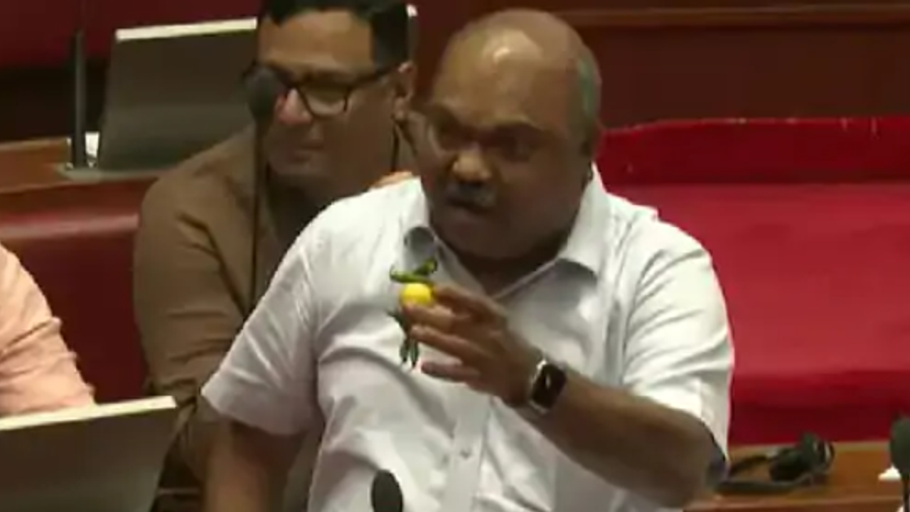 anil parab anil parab