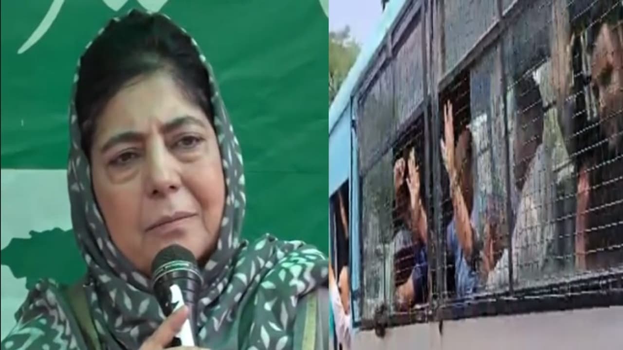 mehbooba mufti mehbooba mufti