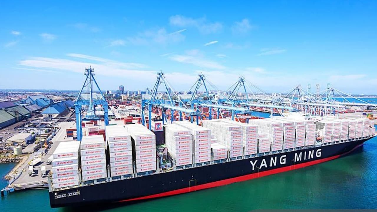 yang ming marine