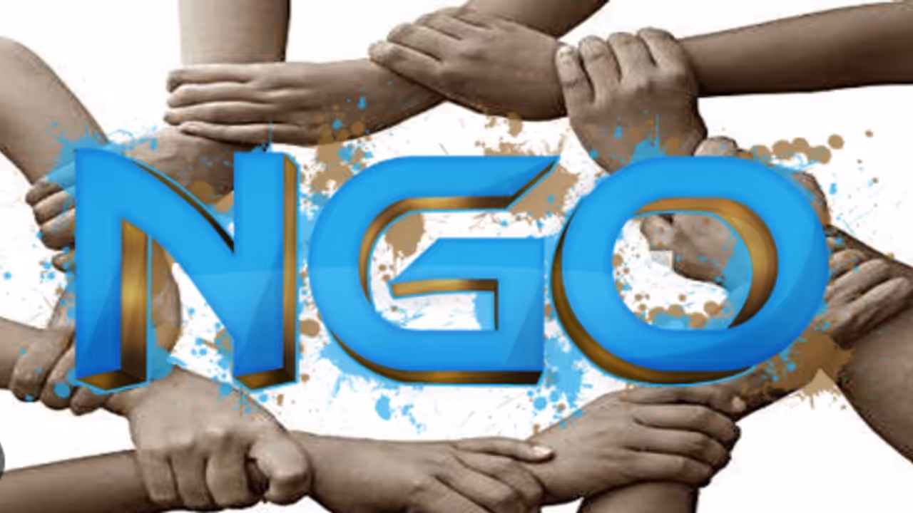 NGO NGO