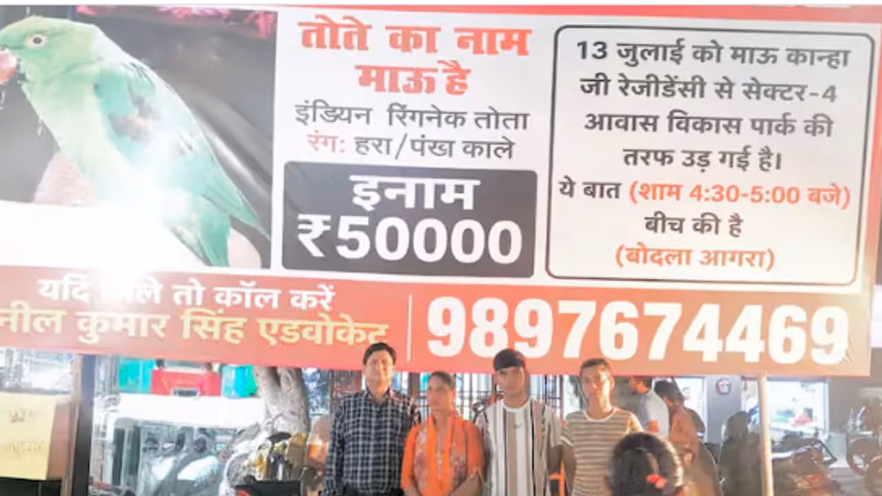 Agra Family Offers Rs 50,000 Reward to Find Missing Pet Parrot, Internet Joins the Search Agra Family Offers Rs 50,000 Reward to Find Missing Pet Parrot, Internet Joins the Search